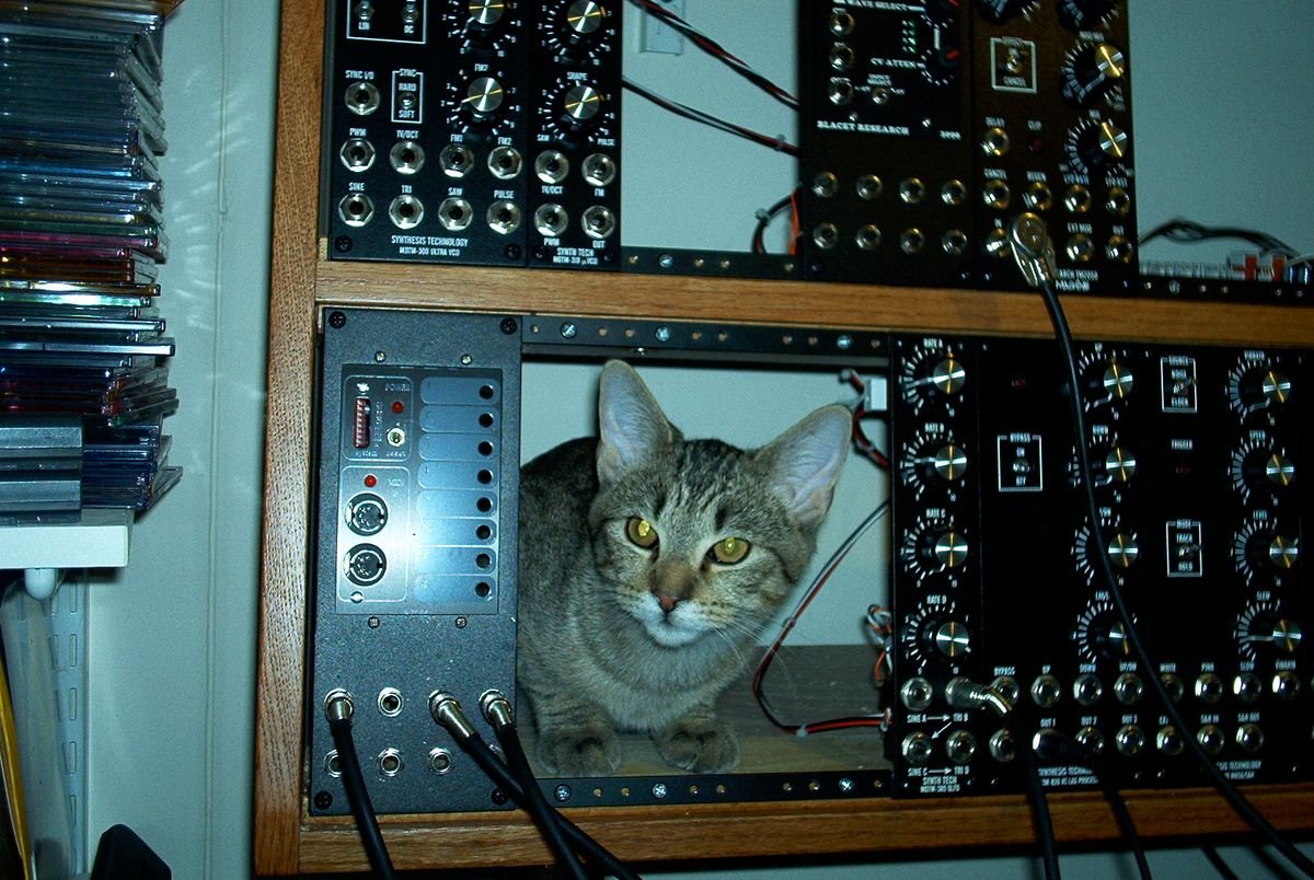 貓咪合成器：當慵懶萌寵遇見迷幻電音，網路最「奇異」的音樂浪潮 | 大人物 - 97099
