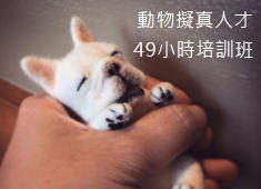 【復刻專題】動物擬真人才培訓