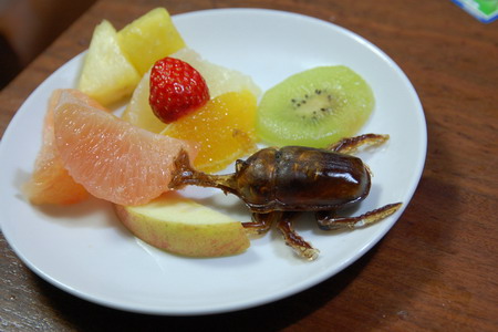 子：「媽媽，我要吃甲蟲」，母：「好，等我五分鐘」