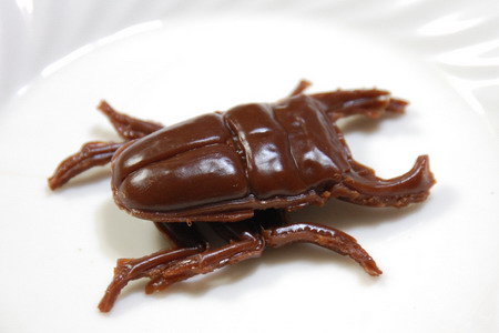 子：「媽媽，我要吃甲蟲」，母：「好，等我五分鐘」