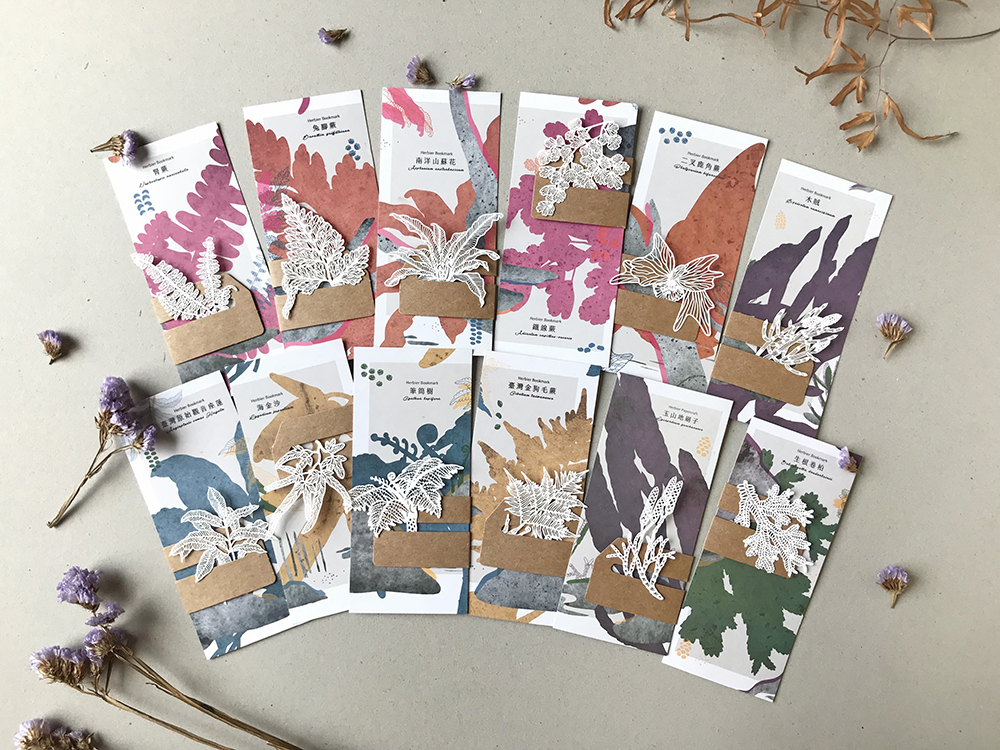 FERN ONLY_蕨類標本紙雕組