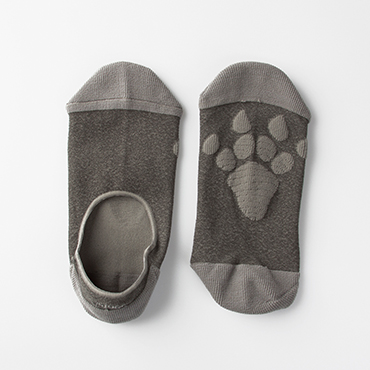 25togo_FOOTPRINT 腳印襪_三角龍 