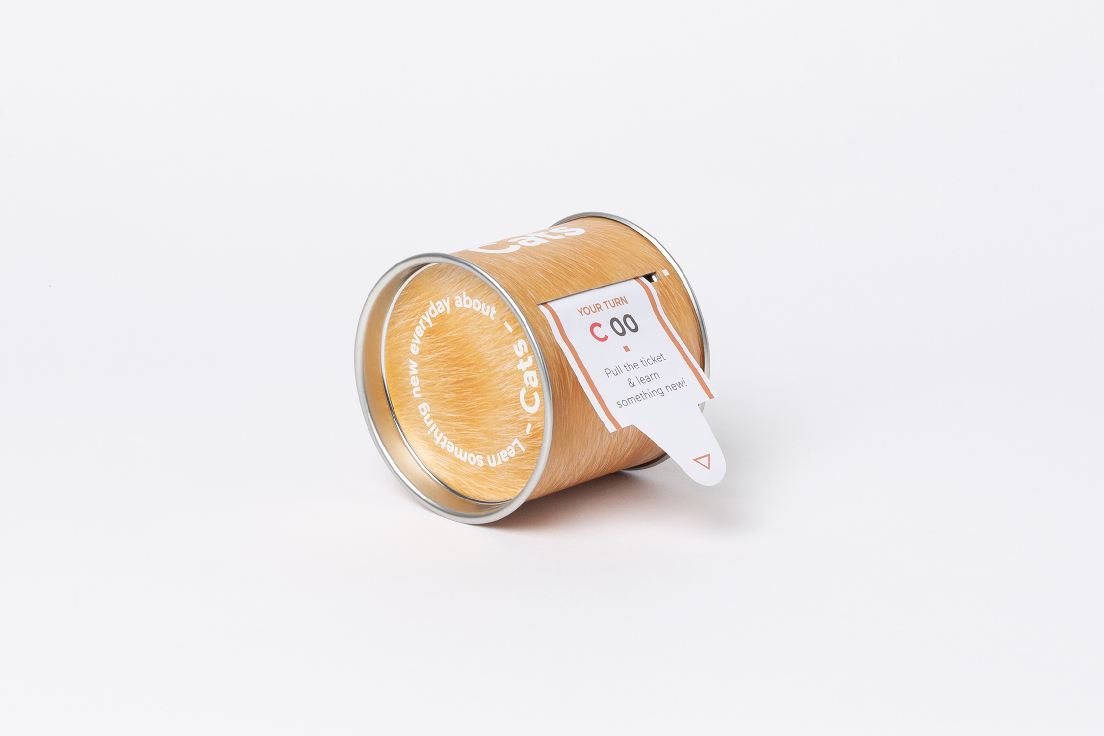 DOIY_100個你得知道的貓知識 100 facts ticket box-cat