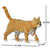整個家都是我地盤！慵懶「樂高貓」貓生無憾啦