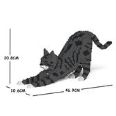 整個家都是我地盤！慵懶「樂高貓」貓生無憾啦