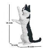 整個家都是我地盤！慵懶「樂高貓」貓生無憾啦