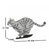 整個家都是我地盤！慵懶「樂高貓」貓生無憾啦