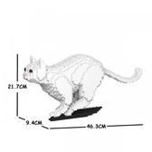 整個家都是我地盤！慵懶「樂高貓」貓生無憾啦