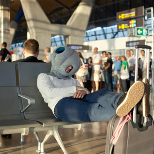 Ostrich Pillow_鴕鳥枕 (兩色選)