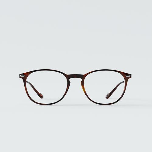 NOOZ_時尚造型老花眼鏡 鏡腳便攜款 （橢圓-玳瑁色）