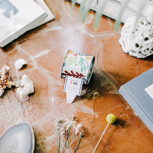 DOIY_100個你得知道的藝術知識 100 faccts ticket box-art